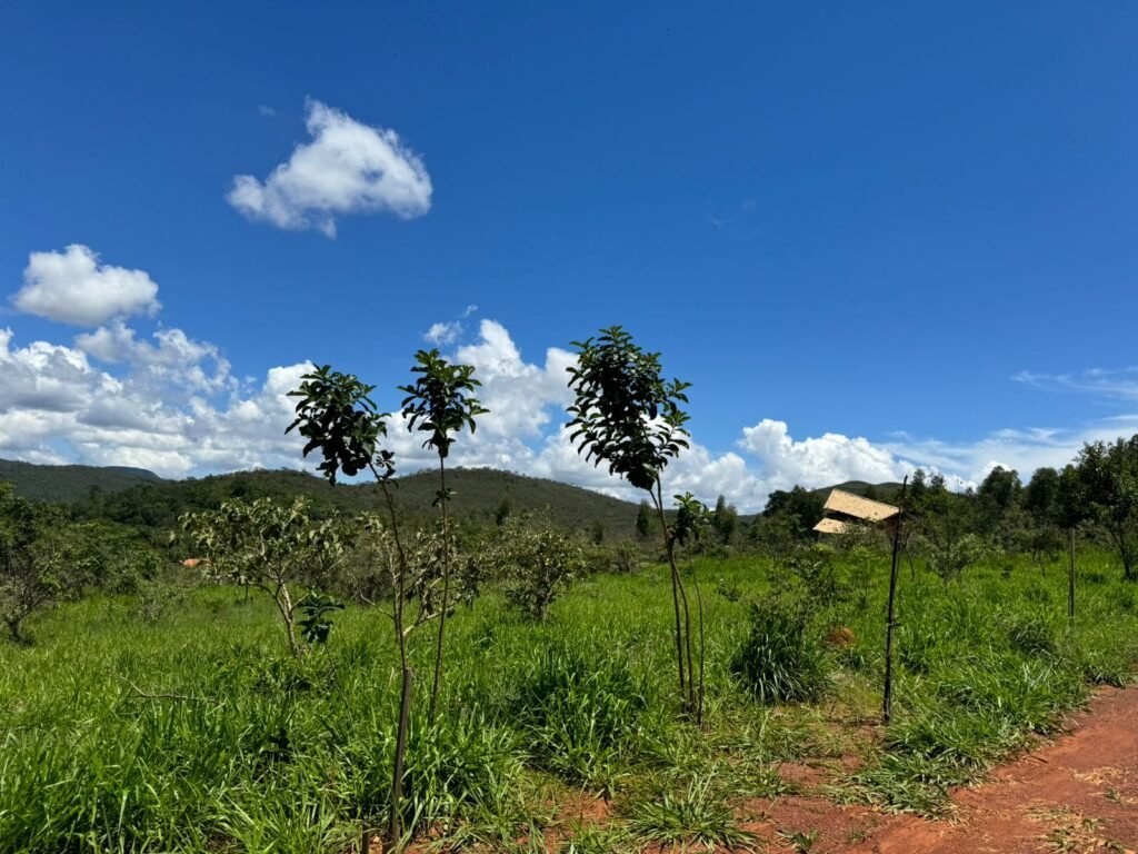 Lote 2.000m2 Condomínio ASHIYANA, Eco Village, 2km sentido Loquinhas – Chapada dos Veadeiros
