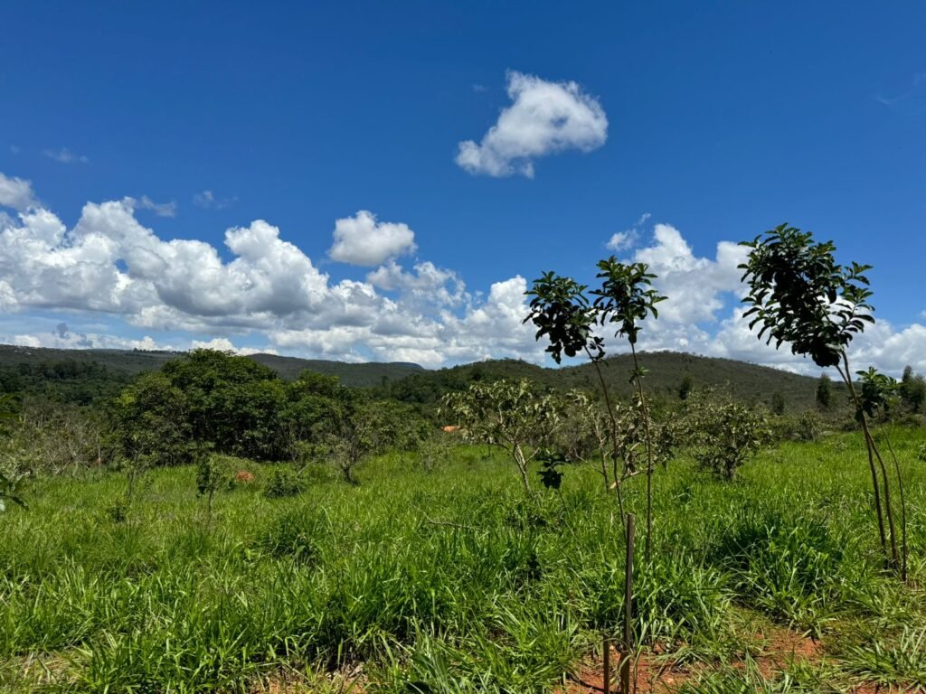 Lote 750m2 Condomínio ASHIYANA, Eco Village, 2km sentido Loquinhas – Chapada dos Veadeiros