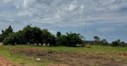 Vende-se Casa Bem Localizada em Alto Paraíso de Goiás! Vende-se Casa Bem Localizada em Alto Paraíso de Goiás!