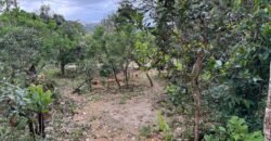 Vende-se 2 Apartamentos – Eldorado II – Alto Paraíso de Goiás Vende-se 2 Apartamentos – Eldorado II – Alto Paraíso de Goiás