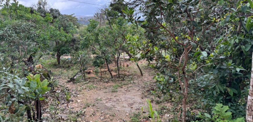 Vende-se 2 Apartamentos – Eldorado II – Alto Paraíso de Goiás