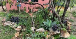 Vende-se 2 Apartamentos – Eldorado II – Alto Paraíso de Goiás Vende-se 2 Apartamentos – Eldorado II – Alto Paraíso de Goiás