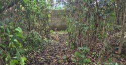 Lote 528.00m2 – Eldorado 1 – Alto Paraíso de Goiás Lote 528.00m2 – Eldorado 1 – Alto Paraíso de Goiás