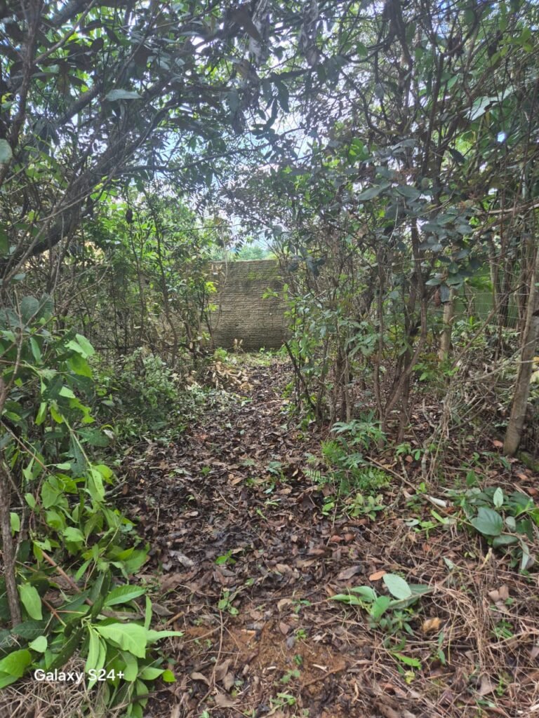 Lote 528.00m2 – Eldorado 1 – Alto Paraíso de Goiás