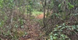 Lote 528.00m2 – Eldorado 1 – Alto Paraíso de Goiás Lote 528.00m2 – Eldorado 1 – Alto Paraíso de Goiás