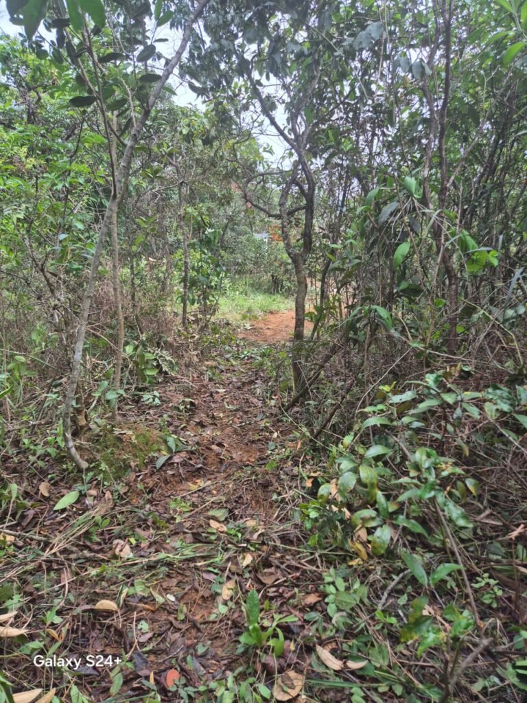 Lote 528.00m2 – Eldorado 1 – Alto Paraíso de Goiás