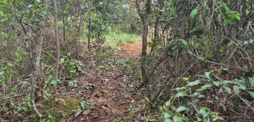 Lote 528.00m2 – Eldorado 1 – Alto Paraíso de Goiás