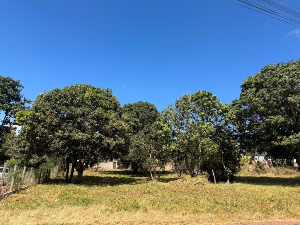 Lote 800m2 – Região Central – Alto Paraíso de Goiás
