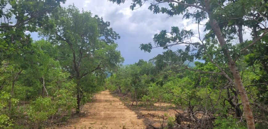 Chácaras a Venda – 37km de Alto Paraíso sentido Sertão – Chapada dos Veadeiros