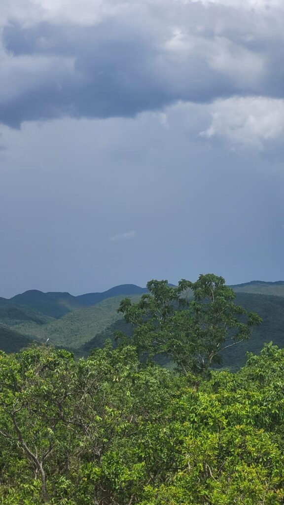 Chácaras a Venda – 37km de Alto Paraíso sentido Sertão – Chapada dos Veadeiros