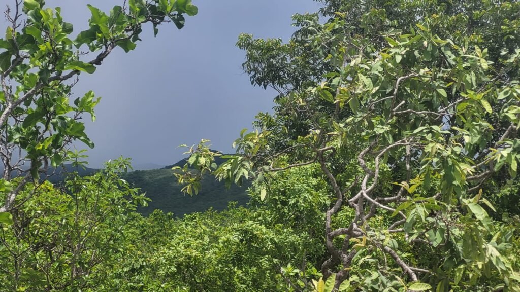 Chácaras a Venda – 37km de Alto Paraíso sentido Sertão – Chapada dos Veadeiros