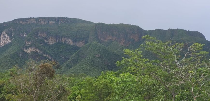Chácaras a Venda – 37km de Alto Paraíso sentido Sertão – Chapada dos Veadeiros
