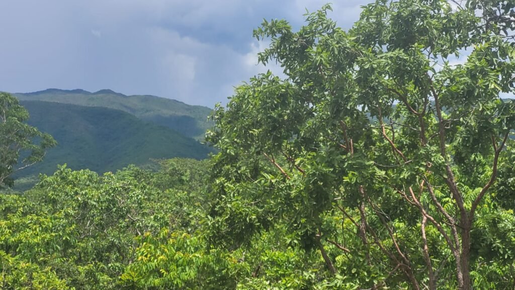 Chácaras a Venda – 37km de Alto Paraíso sentido Sertão – Chapada dos Veadeiros