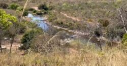 Chácara de 28ha / 280.000m2 – Rio – Sertão – Alto Paraíso de Goiás Chácara de 28ha / 280.000m2 – Rio – Sertão – Alto Paraíso de Goiás