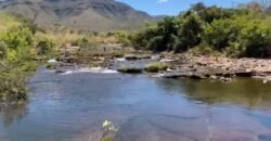Chácara de 28ha / 280.000m2 – Rio – Sertão – Alto Paraíso de Goiás Chácara de 28ha / 280.000m2 – Rio – Sertão – Alto Paraíso de Goiás