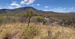 Chácara de 28ha / 280.000m2 – Rio – Sertão – Alto Paraíso de Goiás Chácara de 28ha / 280.000m2 – Rio – Sertão – Alto Paraíso de Goiás