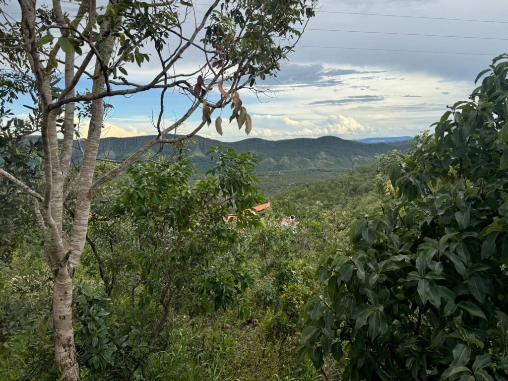 Casa em São Jorge – Sentido Mirante Lambuze