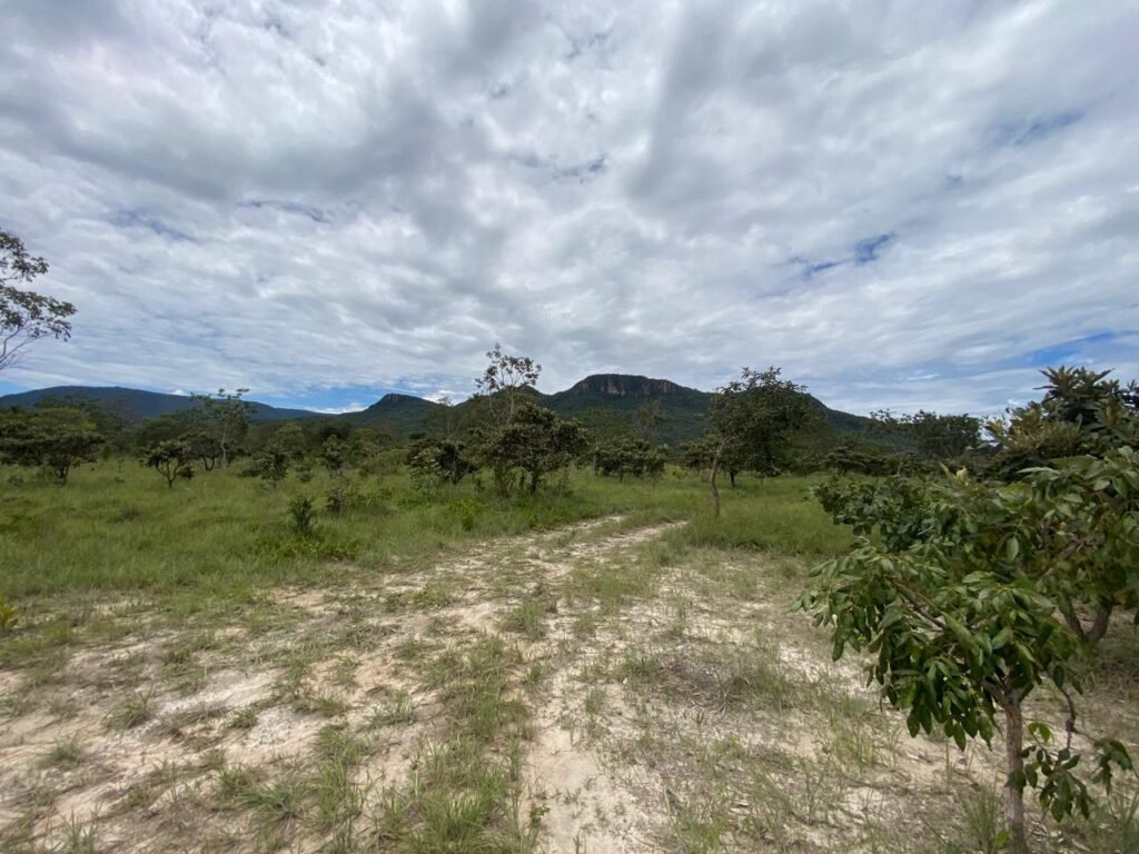 Chácara de 4 ha – Antiga Fazenda Canadá – Com Acesso a Cachoeira São Bartolomeu – Cavalcante de Goiás