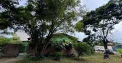 Casa 3 Quartos, Novo Horizonte – Alto Paraíso de Goiás Casa 3 Quartos, Novo Horizonte – Alto Paraíso de Goiás