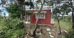 Casa em São Jorge – Sentido Mirante Lambuze Casa em São Jorge – Sentido Mirante Lambuze