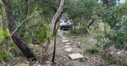 Casa em São Jorge – Sentido Mirante Lambuze Casa em São Jorge – Sentido Mirante Lambuze