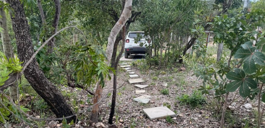 Casa em São Jorge – Sentido Mirante Lambuze