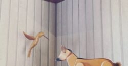 Excelente oportunidade Investimento na Chapada 2 Lofts de alto padrão