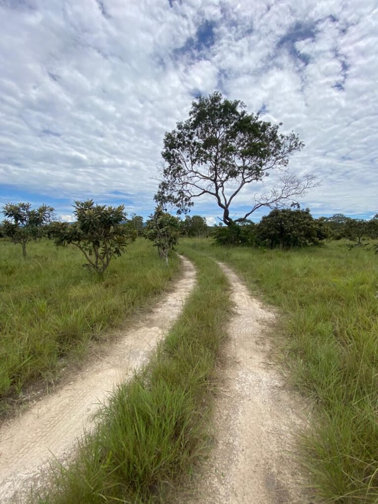 Chácara de 4 ha – Antiga Fazenda Canadá – Com Acesso a Cachoeira São Bartolomeu – Cavalcante de Goiás