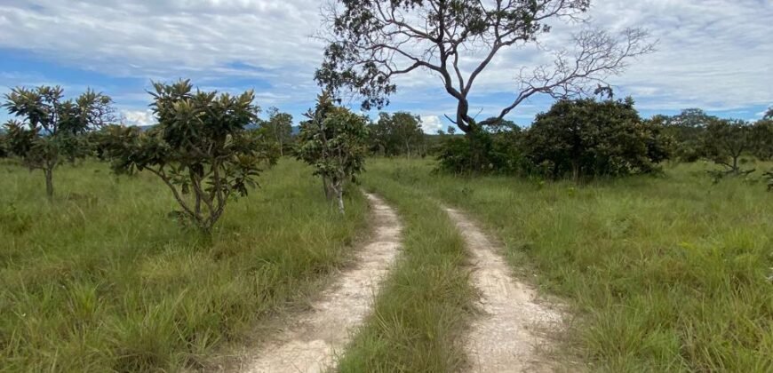 Chácara de 4 ha – Antiga Fazenda Canadá – Com Acesso a Cachoeira São Bartolomeu – Cavalcante de Goiás