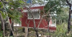 Casa em São Jorge – Sentido Mirante Lambuze Casa em São Jorge – Sentido Mirante Lambuze