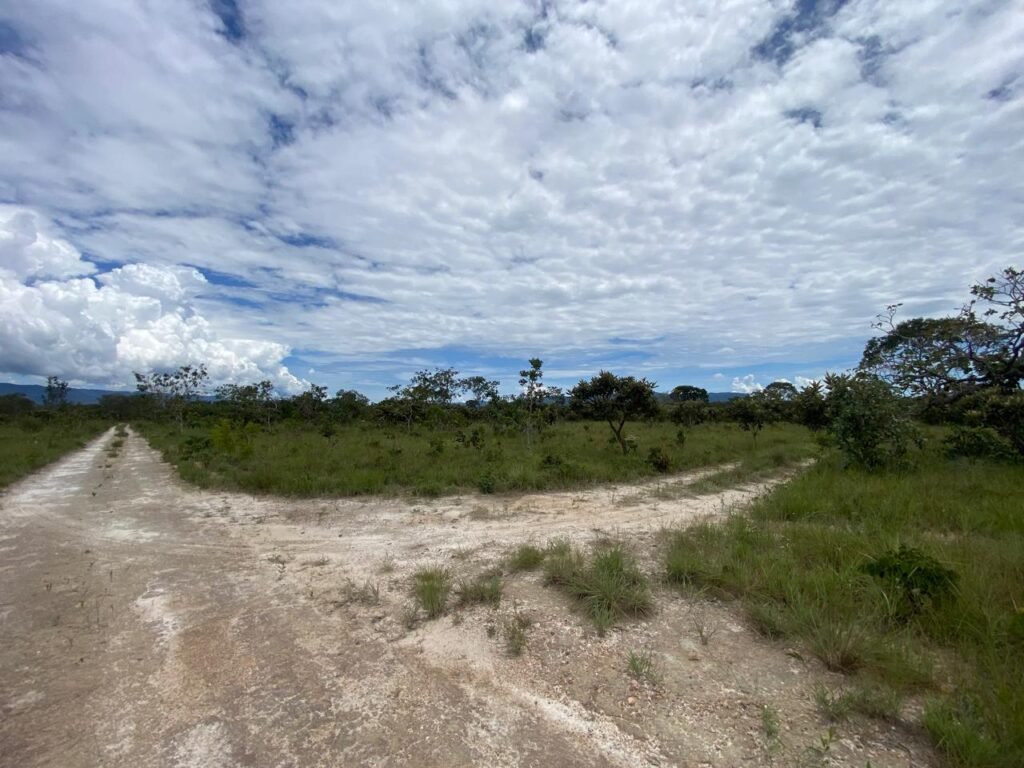 Chácara de 4 ha – Antiga Fazenda Canadá – Com Acesso a Cachoeira São Bartolomeu – Cavalcante de Goiás