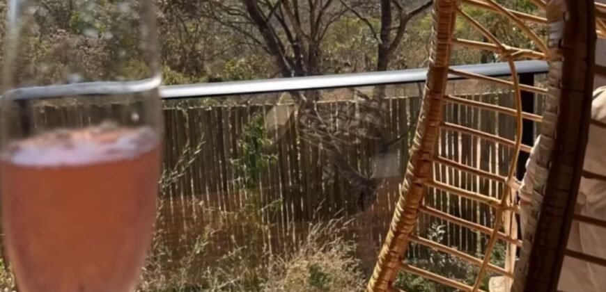 Excelente oportunidade Investimento na Chapada 2 Lofts de alto padrão