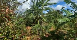 Empreendimento com Casa + Pousada em Alto Paraíso de Goiás Empreendimento com Casa + Pousada em Alto Paraíso de Goiás