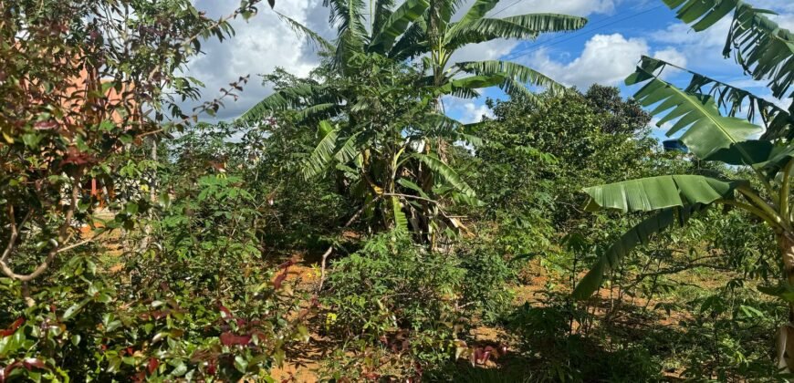 Empreendimento com Casa + Pousada em Alto Paraíso de Goiás