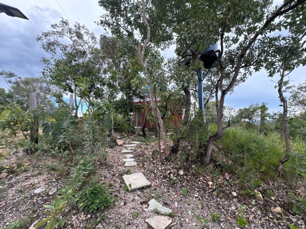 Casa em São Jorge – Sentido Mirante Lambuze