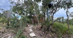 Casa em São Jorge – Sentido Mirante Lambuze Casa em São Jorge – Sentido Mirante Lambuze