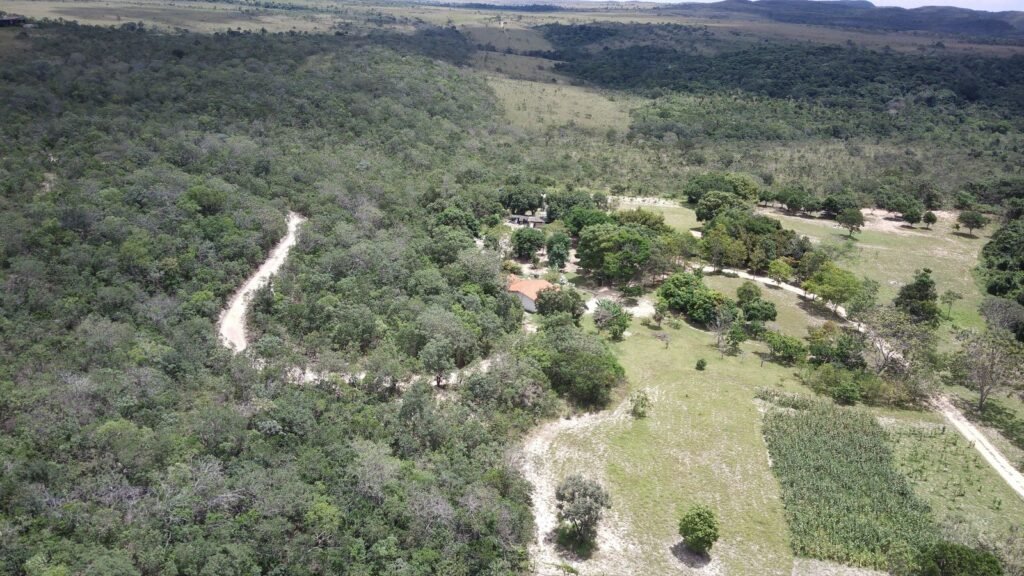 Belissima propriedade – Negócio em funcionamento – 12.3ha – Próximo da Serra da Boa Vista – Alto Paraíso
