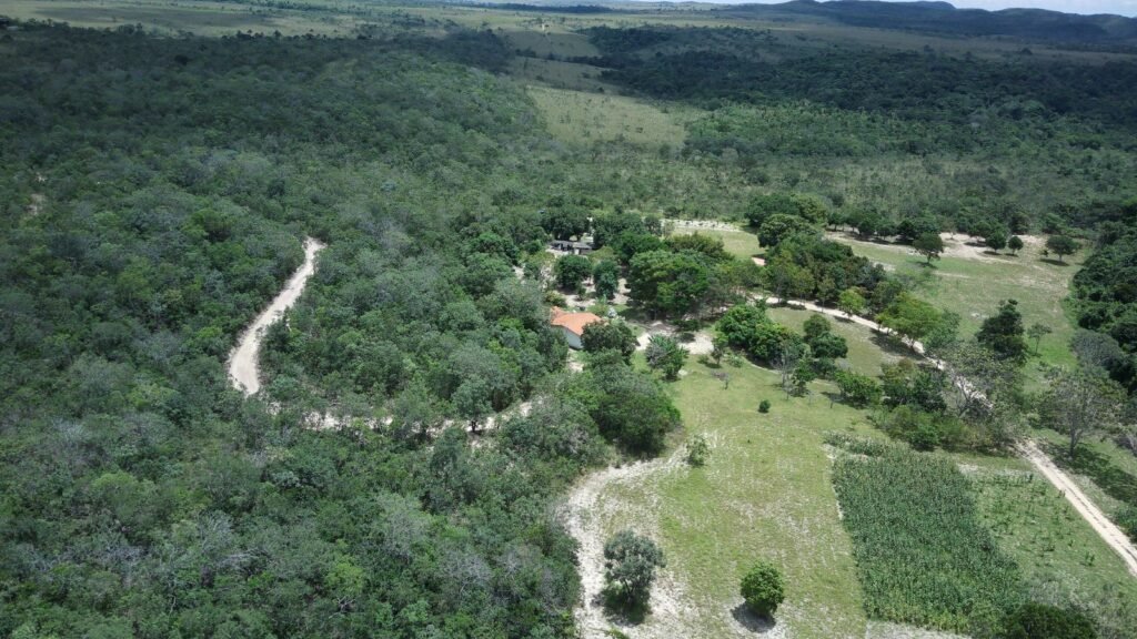 Belissima propriedade – Negócio em funcionamento – 12.3ha – Próximo da Serra da Boa Vista – Alto Paraíso