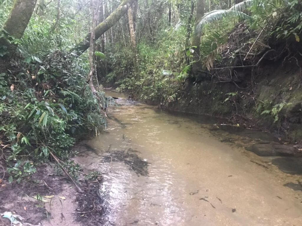 Belissima propriedade – Negócio em funcionamento – 8ha – Próximo da Serra da Boa Vista – Alto Paraíso