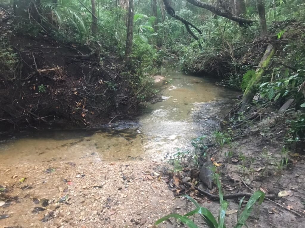Belissima propriedade – Negócio em funcionamento – 8ha – Próximo da Serra da Boa Vista – Alto Paraíso