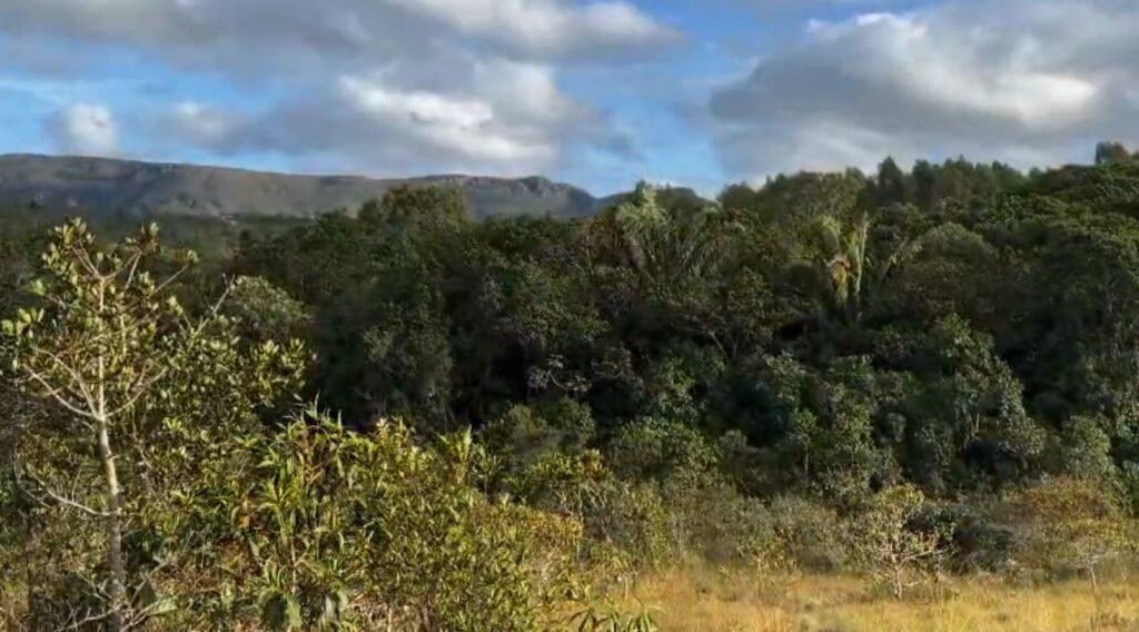 Oportunidade – Gleba de Terra com 4ha – km 12 – entre Alto Paraíso e São Jorge – Escriturada – Chapada dos Veadeiros