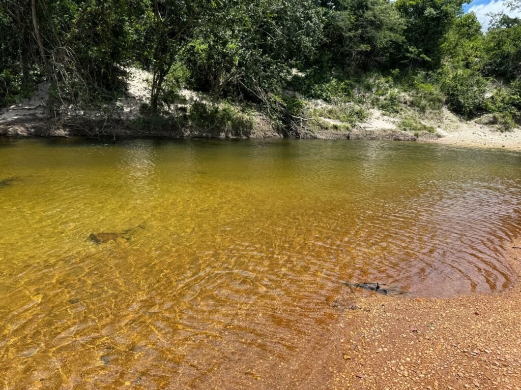 Gleba 4 ha – Rio Almas – Cavalcante de Goiás – Chapada dos Veadeiros