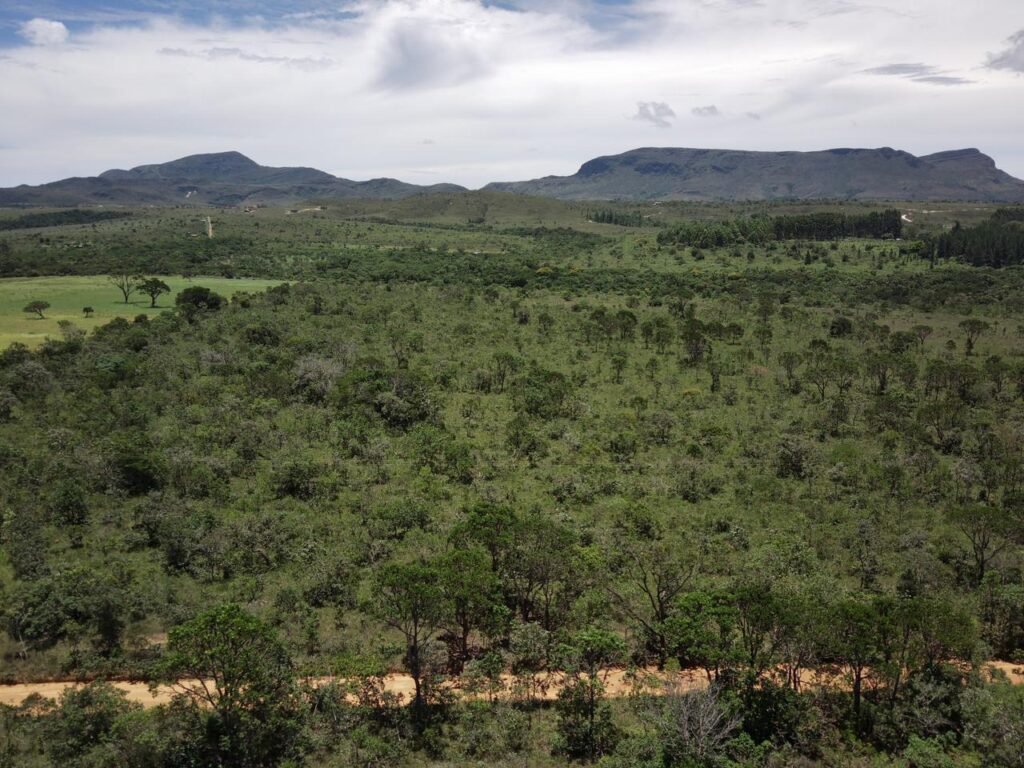 Oportunidade – Gleba de Terra com 4ha – km 12 – entre Alto Paraíso e São Jorge – Escriturada – Chapada dos Veadeiros