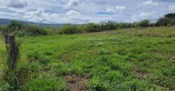Lote 360 m2 – Linda Vista – Novo Horizonte – Alto Paraíso de Goiás