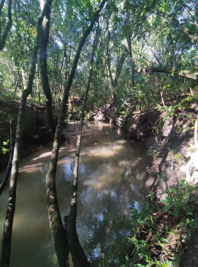 Oportunidade – Gleba de Terra com 4ha – km 12 – entre Alto Paraíso e São Jorge – Escriturada – Chapada dos Veadeiros