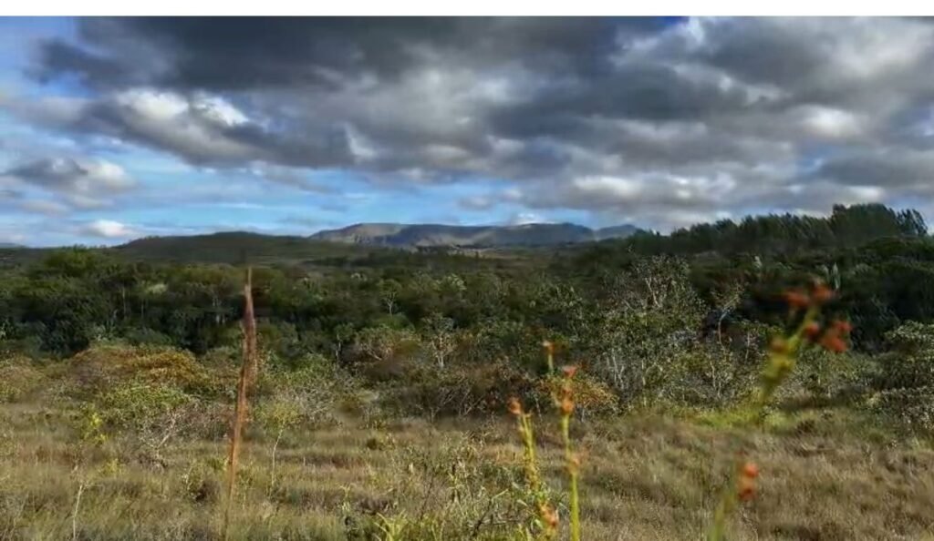 Oportunidade – Gleba de Terra com 4ha – km 12 – entre Alto Paraíso e São Jorge – Escriturada – Chapada dos Veadeiros