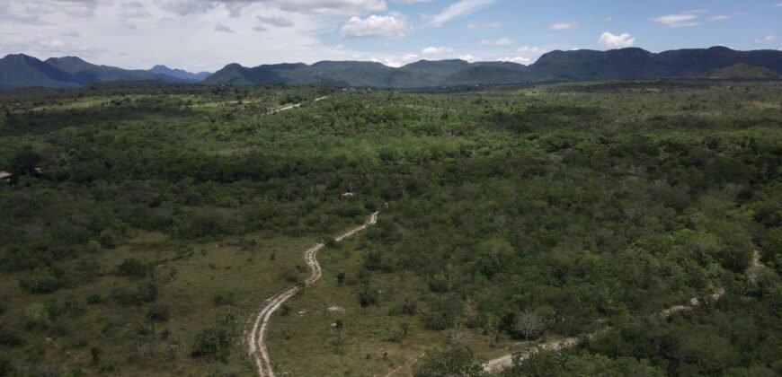 Gleba 4 ha – Rio Almas – Cavalcante de Goiás – Chapada dos Veadeiros