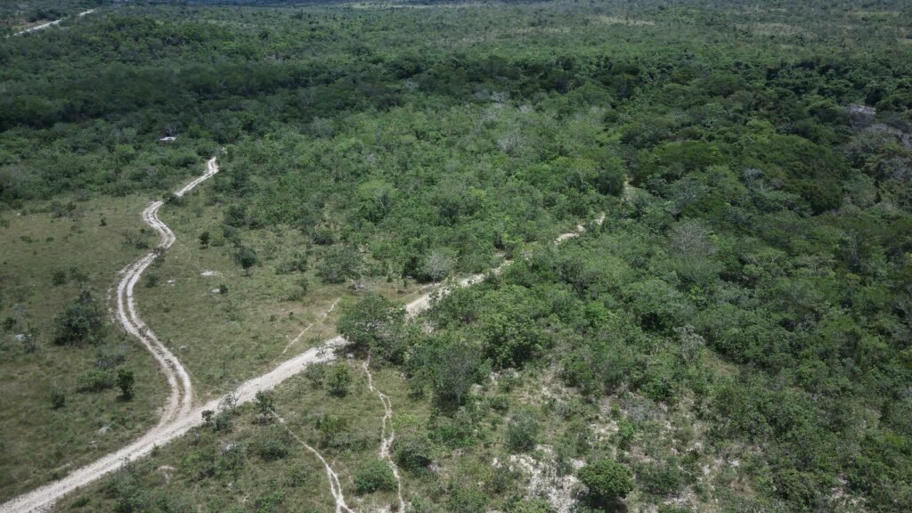 Gleba 4 ha – Rio Almas – Cavalcante de Goiás – Chapada dos Veadeiros