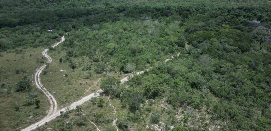 Gleba 4 ha – Rio Almas – Cavalcante de Goiás – Chapada dos Veadeiros