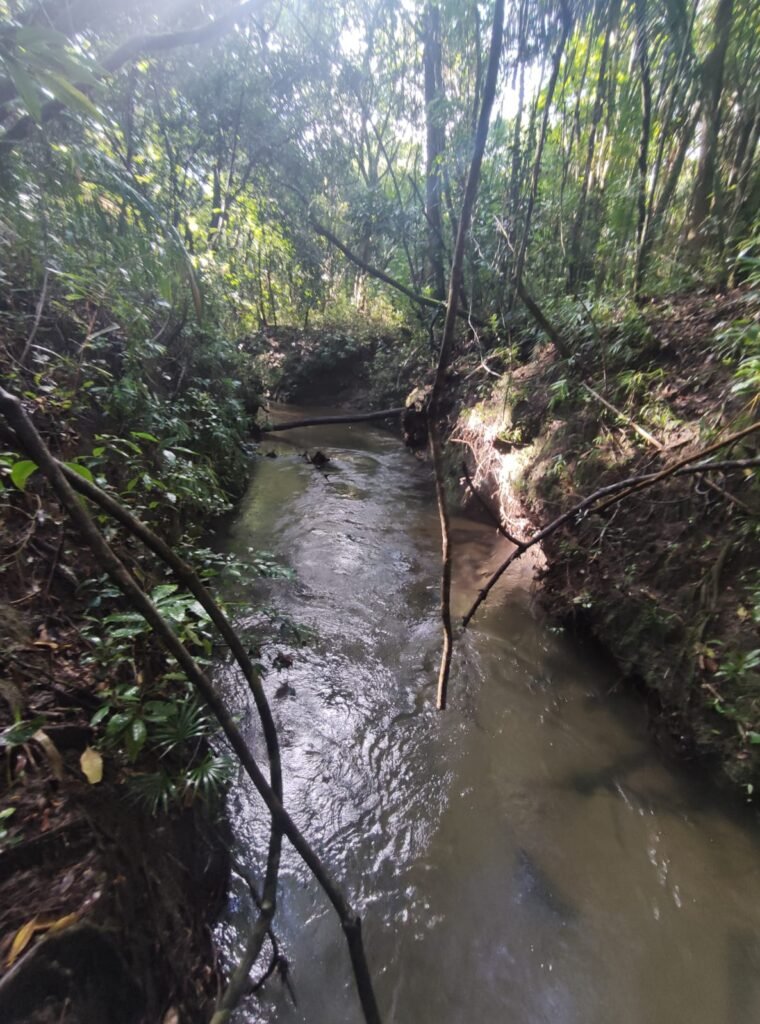 Oportunidade – Gleba de Terra com 4ha – km 12 – entre Alto Paraíso e São Jorge – Escriturada – Chapada dos Veadeiros